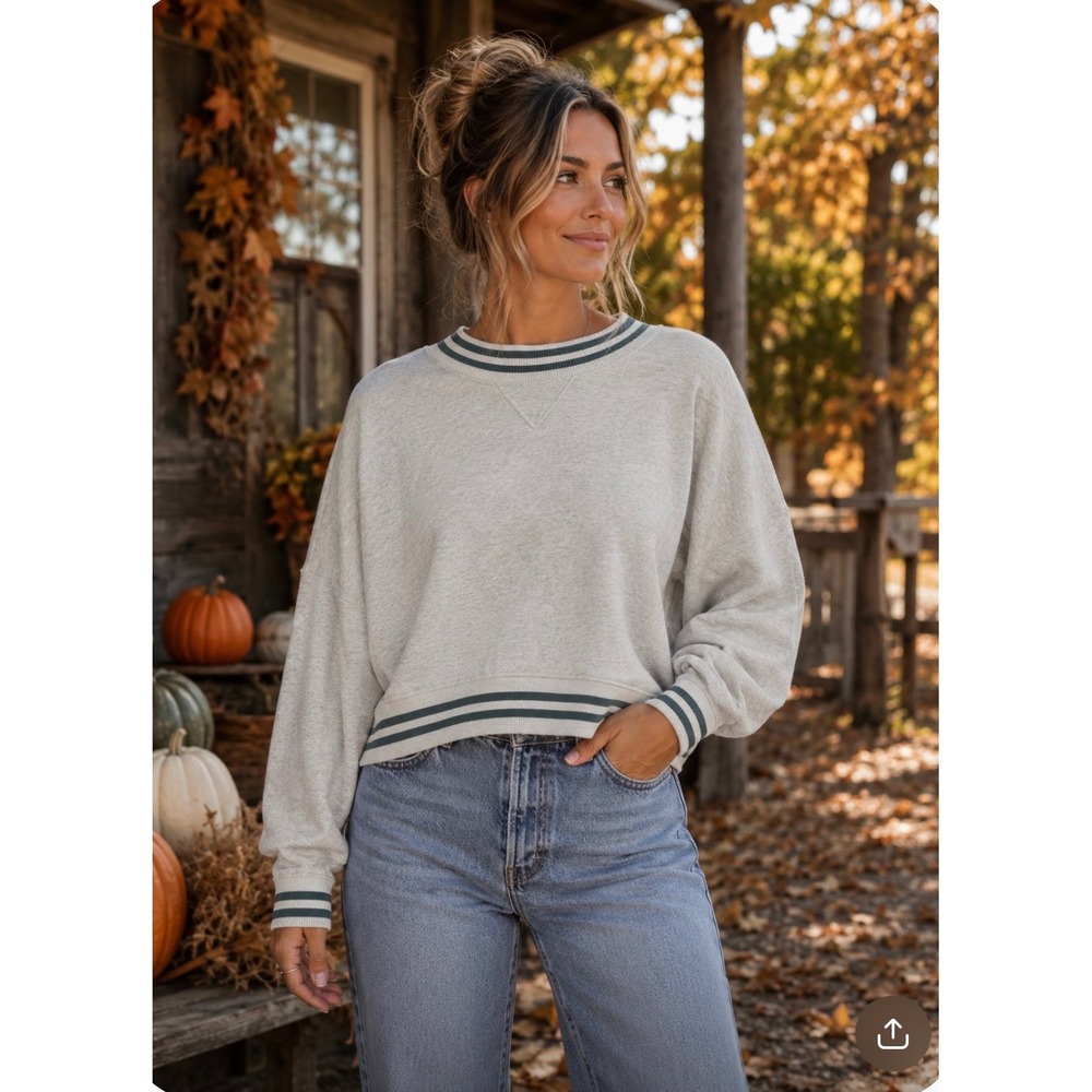 The Normal Brand Women Gray Striped Cropped Sweatshirt Size L Saint Louis Patch